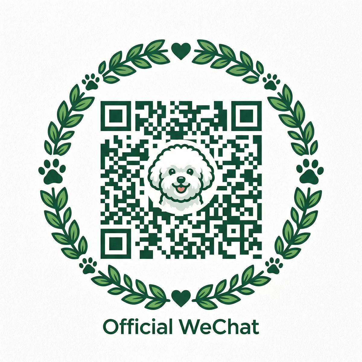 免费看片公众号